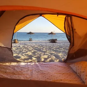 wavessidecamping.albaniahotels.org/